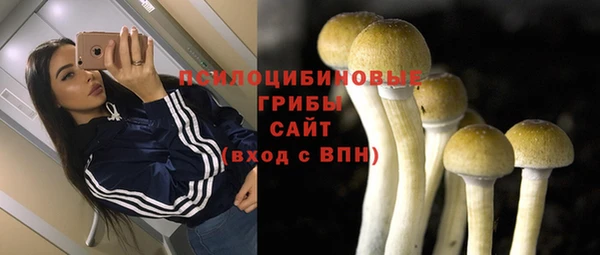 тгк Алексеевка