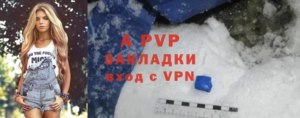 хмурый Арсеньев