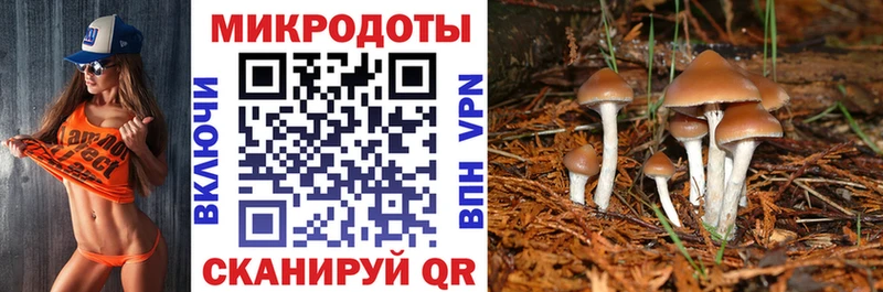Псилоцибиновые грибы Magic Shrooms купить наркоту гидра вход Михайловск