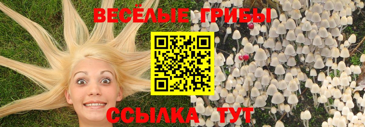 Галлюциногенные грибы мицелий  Вход с VPN  Михайловск 