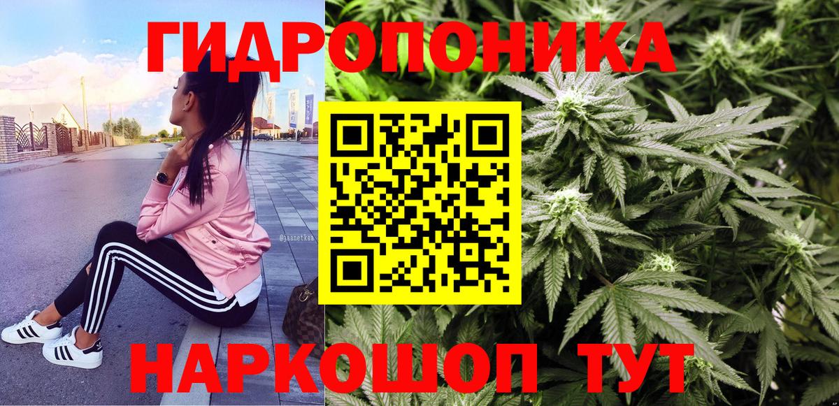Бошки марихуана тримм  Бошки Шишки Amnesia  Михайловск  Бошки марихуана White Widow  Вход с VPN 